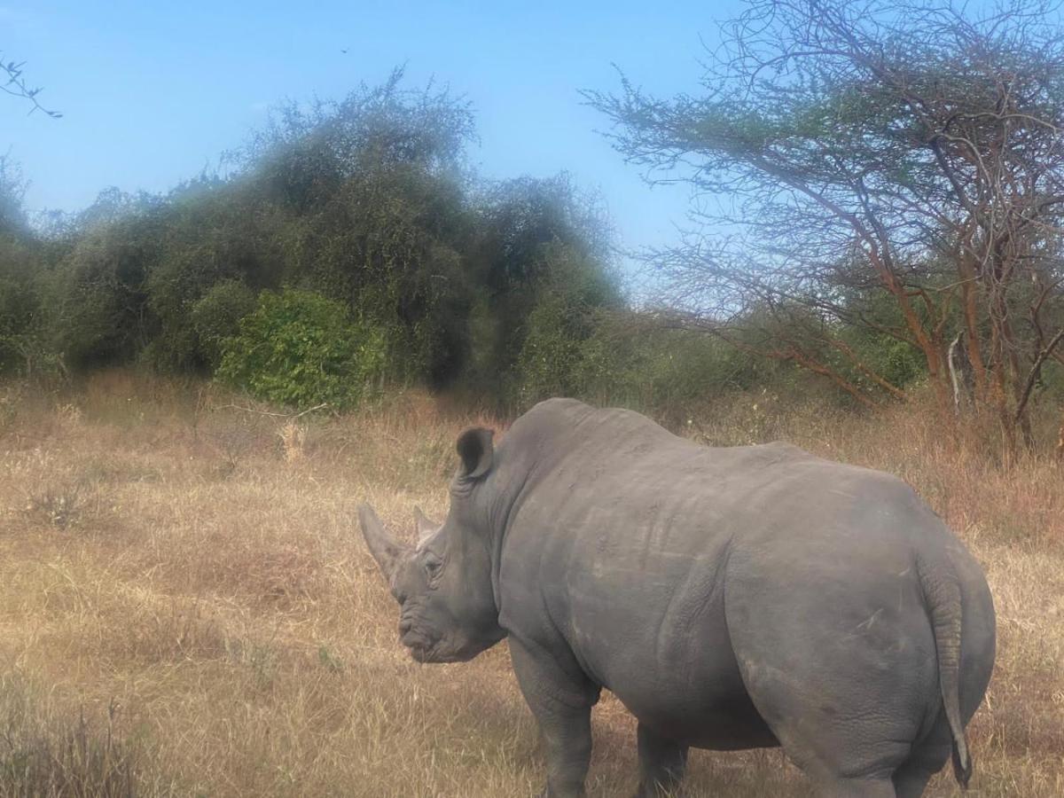 Auberge Africa Thiossane Saly Portudal Dış mekan fotoğraf