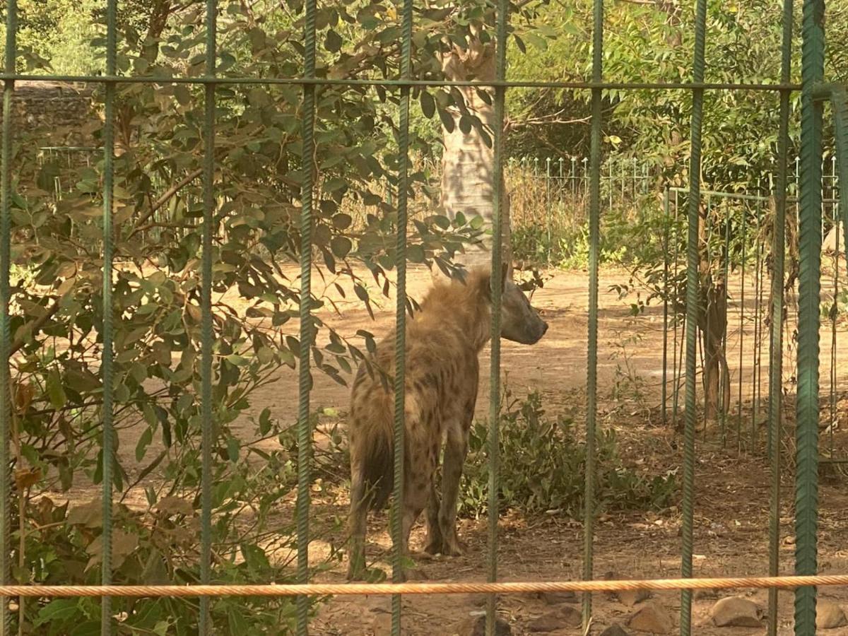 Auberge Africa Thiossane Saly Portudal Dış mekan fotoğraf